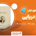 دانلود-کتاب-مرغ-دریایی-آنتون-چخوف