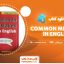 کتاب common mistakes in english