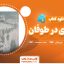 دانلود کتاب جزیره ای در طوفان رومن رولان